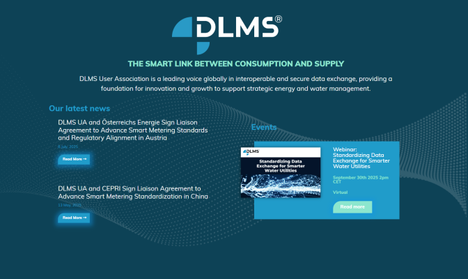 What is DLMS
